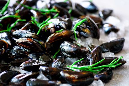Mussels on ice