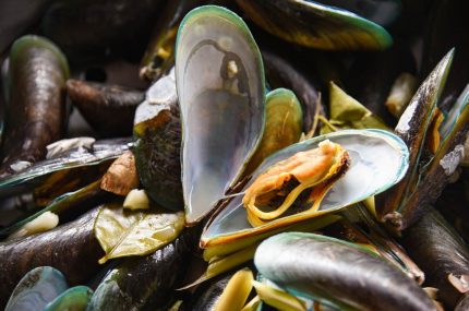 Cooked Mussels